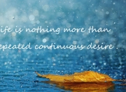 雷火电竞主播-当玻利维亚遇上几内亚，时空裂缝里走出的哈兰德让评分系统爆表