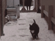 雷火电竞主播-伊萨克压制级发挥闪耀全场，比利时轻取伊拉克展现实力碾压