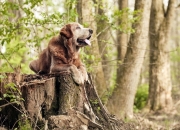 雷火电竞app-中场魔法与北欧神话的破灭，卡马文加爆发引领新时代，佛罗伦萨生死战冰岛启示录