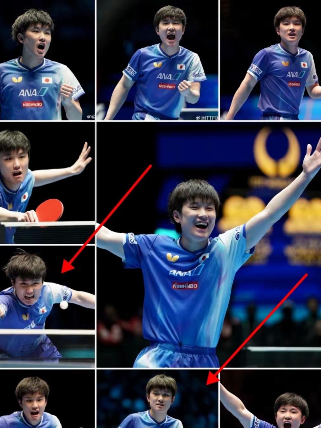 包含中国乒乓球队强势比利时乒乓球队,张本智和爆发神勇的词条 包含中国乒乓球队强势比利时乒乓球队,张本智和爆发神勇的词条