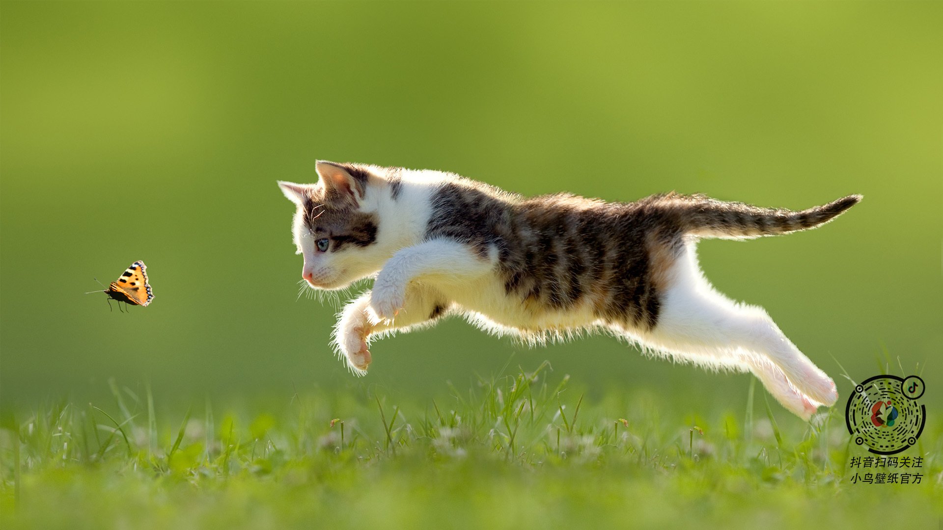 紫色球衣上的蜂刺，当拉梅洛的魔法降临麦迪逊